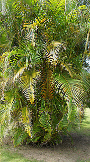 20140831031_thumb.jpg