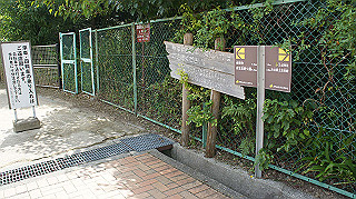dsc00006_thumb.jpg
