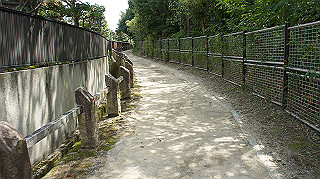 dsc00007_thumb.jpg