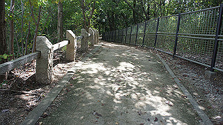 dsc00008_thumb.jpg