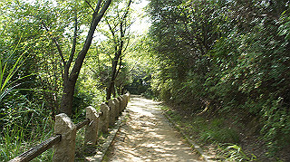 dsc00011_thumb.jpg