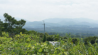 dsc00013_thumb.jpg