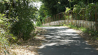 dsc00017_thumb.jpg