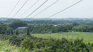 dsc00018_thumb.jpg