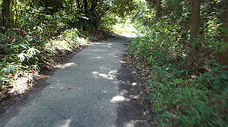 dsc00023_thumb.jpg