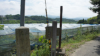 dsc00024_thumb.jpg