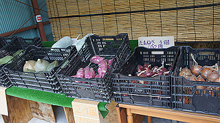dsc00030_thumb.jpg