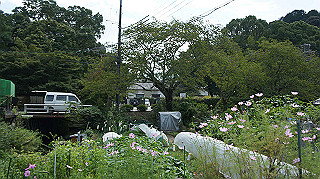 dsc00034_thumb.jpg
