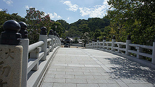 dsc00056_thumb.jpg