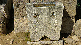 dsc00065_thumb.jpg
