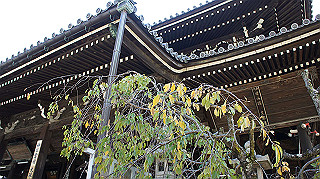 dsc00086_thumb.jpg
