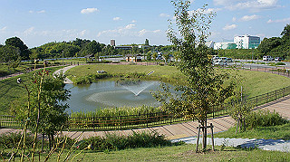 dsc00099_thumb.jpg