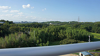 dsc00104_thumb.jpg