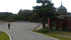 dsc_1525_thumb.jpg