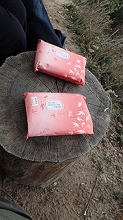 pa250055_thumb.jpg