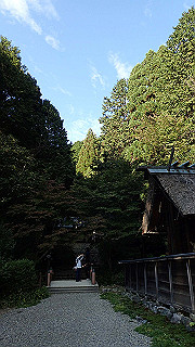 pa250071_thumb.jpg