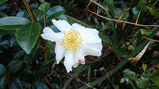 pa250074_thumb.jpg