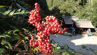 pa250076_thumb.jpg
