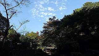 pa250081_thumb.jpg