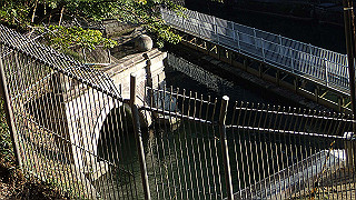 pa250084_thumb.jpg