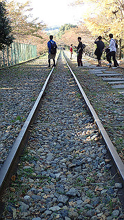 pa250092_thumb.jpg