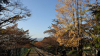 pa250093_thumb.jpg