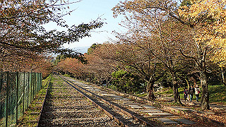 pa250094_thumb.jpg