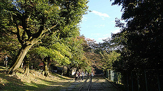 pa250095_thumb.jpg