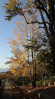pa250100_thumb.jpg