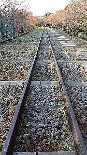 pa250104_thumb.jpg