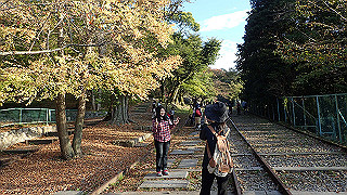 pa250105_thumb.jpg