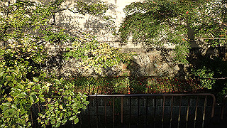 pa250111_thumb.jpg