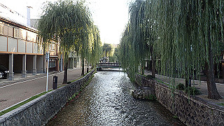 pa250113_thumb.jpg