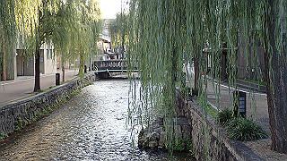 pa250114_thumb.jpg