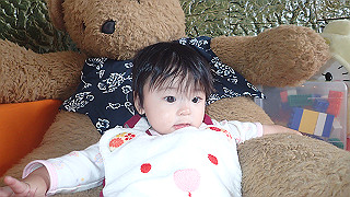pb081733_thumb.jpg