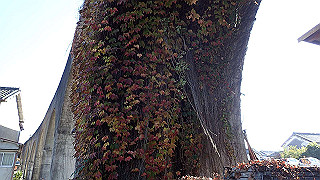 pb221840_thumb.jpg