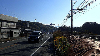 pb221889_thumb.jpg