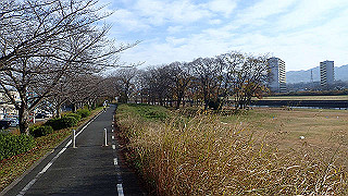 pc102352_thumb.jpg