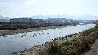 pc102364_thumb.jpg