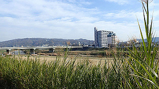 pc102367_thumb.jpg