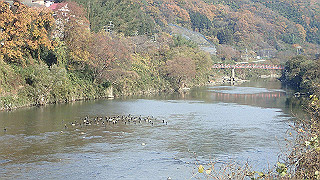 pc102375_thumb.jpg