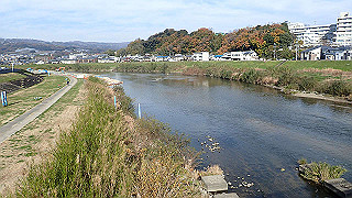 pc102390_thumb.jpg