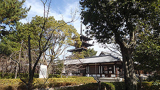 pc102438_thumb.jpg