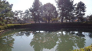 pc102444_thumb.jpg
