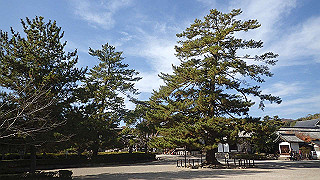 pc102446_thumb.jpg