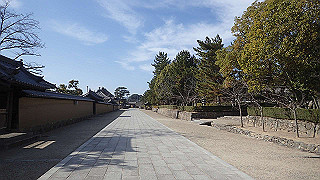 pc102447_thumb.jpg