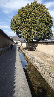 pc102457_thumb.jpg