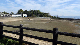 pc102461_thumb.jpg
