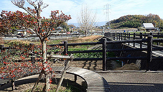 pc102472_thumb.jpg
