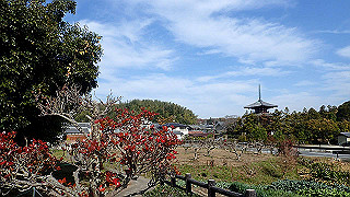 pc102473_thumb.jpg
